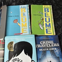 Lot of 12 Chapter Books BOYS Youth Early Reader Young Adults Children Adventure