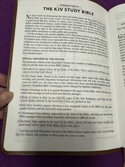 KJV Study Bible Large Print Thumb Indexed Red Letter 2011 Teal Inlay