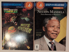 Lot of 24 Level 4 Readers 1 Level 5 Book Bundle Step Into Reading DK Hello