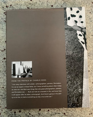 A Family Named Spot by Allan Gurganus: Hard Cover Photo Book 2006