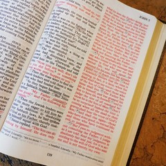 The Living Bible Large Print Brown Bonded Leather Red Letter Tyndale Pub 1984