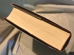 Alan Greenspan THE AGE OF TURBULENCE 2007 First Edition 2nd Printing Adventures