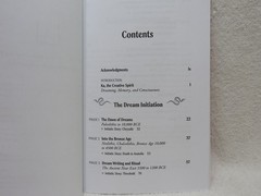 Initiation into Dream Mysteries by Sarah Janes 180 Pages Paperback 2022 👀*…..