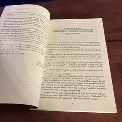 Other Side of Silence : A Civil War Novel, Paperback by James Willis 2007