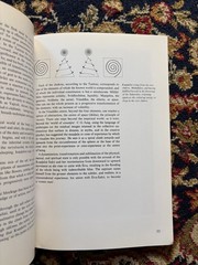 Kundalini: The Arousal of the Inner Energy – paperback Mookerjee, Ajit VG