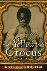 Yellow Crocus – Paperback By Ibrahim, Laila – VERY GOOD