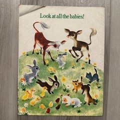 Mixed Lot of 15 Children’s Books, Various Titles