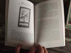 New-The Whimsical Tarot Book Only-Factory Sealed-New condition