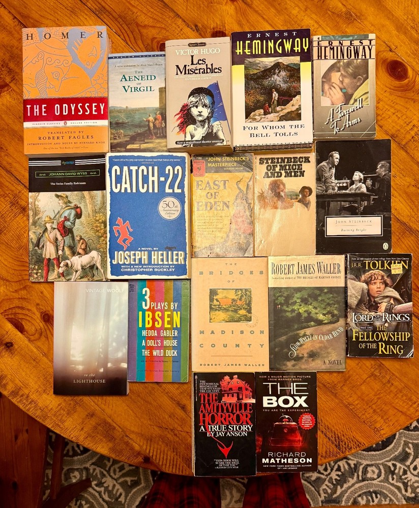 Lot of 17 Classic Lit Fiction Books (Varied Authors)