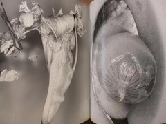 Nobuyoshi Araki „Erotos” Photo Book First edition Hardcover Japanese