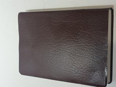 Holman HCSB Gift and Award Bible 2009 Burgundy Faux Leather Christian Standard