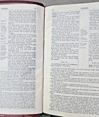 NEW SCOFIELD REFERENCE EDITION Red Cowhide Leather Bible KJV 1969 Oxford