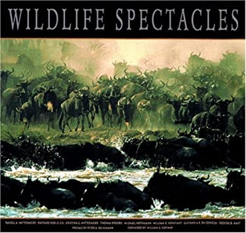 Wildlife Spectacles Hardcover