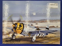 SQUADRON P-47 Thunderbolt Action Military Photo Hardcover Book WWII US Aircraft