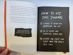 Steel Like An Artist Journal: A Notebook For Creative Kleptomaniacs By A.Kleon ￼