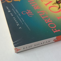 The Forty Rules of Love: A Novel of Rumi by Elif Shafak – PB – GOOD