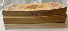 3 Book Lot Daniel Quinn Ishmael The Story Of B Fiction Parable Novel My Ishmael