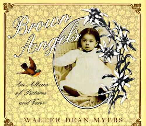 Brown Angels: An Album of Pictures and Verse – Hardcover – GOOD