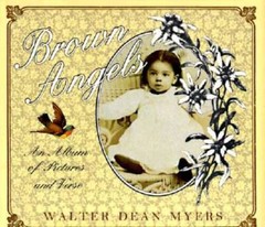 Brown Angels: An Album of Pictures and Verse – Hardcover – GOOD