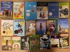 Lot of 15 Newbery Honor Award Winning Chapter Children Kid Books AR *RANDOM MIX