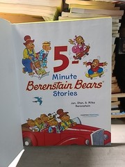 Berenstain Bears Lot 8+ Books by Stan & Jan Berenstain – Hardcover Children’s Bo