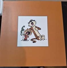 The Complete Calvin and Hobbes • 4 Book Box Set (Paperback)