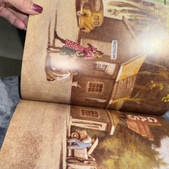 Ruth and the Green Book by Calvin Alexander Ramsey and Gwen Strauss (2010)