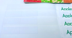 Apples and Pumpkins Book Lot of 12 Copies by Anne Rockwell Scholastic Children’s
