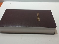 Holman HCSB Gift and Award Bible 2009 Burgundy Faux Leather Christian Standard