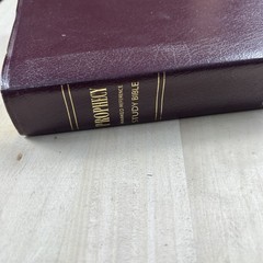 NIV Prophecy Marked Reference Study Bible Bonded Leather 1999 Zondervan