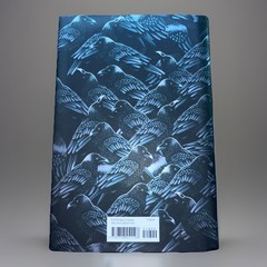 The Ravens (Signed Edition) Kass Morgan, Danielle Paige (2020/HC) NEW & FREE 📦
