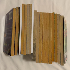 (20) Misc. Goosebumps Books – Varied Condition Most Good Condition – Kids Horror