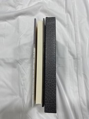 The Painted Darkness by Brian Freeman, SIGNED Limited Edition, HCDJ in Slipcase