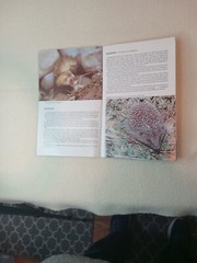 $3.45 – Discover New Zealand, booklet, Wild Animals of New Zealand