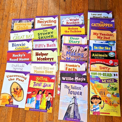 Lot 235 Readers Ready to Read Reading Level Pre 1 2 3 4 Kids Books Mixed