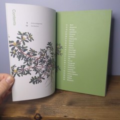 Herbal Handbook by New York Botanical Garden (Illustrated)