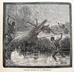 1898 Victorian Exploration Sea Travel Arctic Africa Tropics Safari Wild Animals