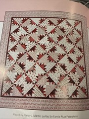 Super Scrap Quilts Book Martingale That Patchwork Place 10 Quilt Patterns