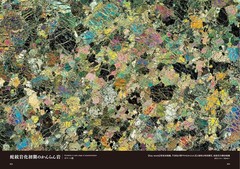 Rock Thin Section Illustrated Guide: Mineral Composition and History from Japan