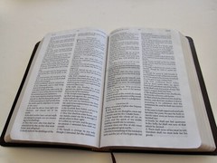 Jack Van Impe Prophecy Bible KJV Red Letter Edition Brown Leather Cover USA