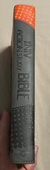 The NIV Action Study Bible – Premium 1st Edition by Sergio Cariello / David Cook