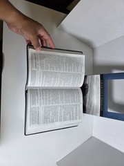 Biblia Principios De Vida