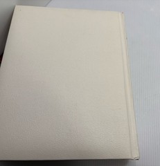 Vintage Large Holy Bible King James Version White Gold Gilt Page Edges