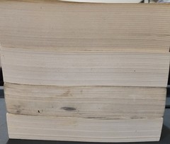 The Twilight Saga White Collection- Stephanie Meyer- Missing 1 Book