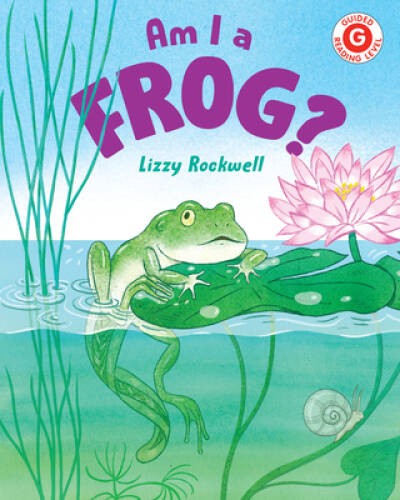 Am I a Frog (I Like to Read) – Hardcover By Rockwell, Lizzy – VERY GOOD
