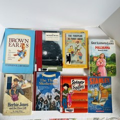 Lot of 10 Chapter Books Mixed Lot 2nd 3rd Grade Fiction Classroom Library Set