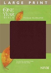 The One Year Bible NIV, Premium Slimline Large Print – Leather Bound – Very Good