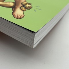 The Art of Frank Cho 20 Year Retrospective Softcover Art Book Flesk Publications