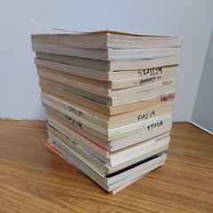 Lot of 20 Chapter Books for 4th Grade Boys & Girls Classroom RL4, AR