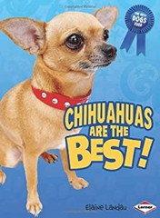 Chihuahuas Are the Best! Library Binding Elaine Landau